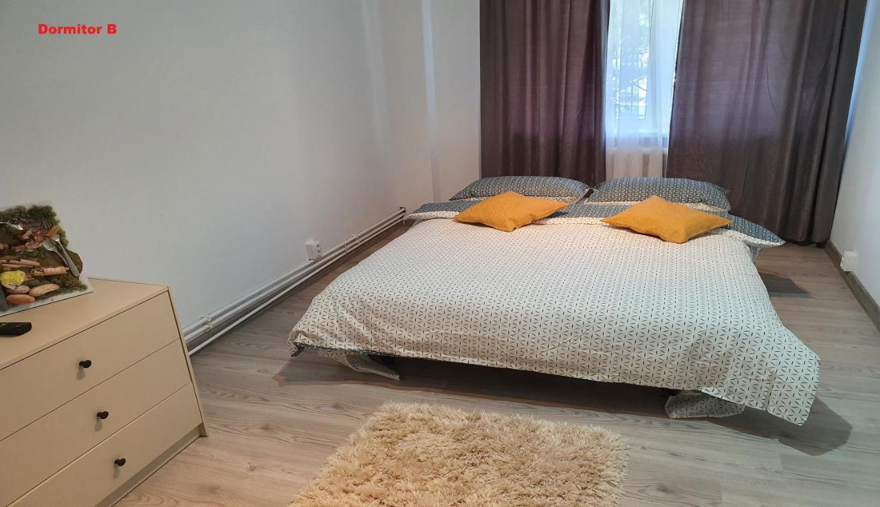 Mia Central Apart, 3 Rooms, 2 Baths, Afi Mall Braşov Eksteriør billede