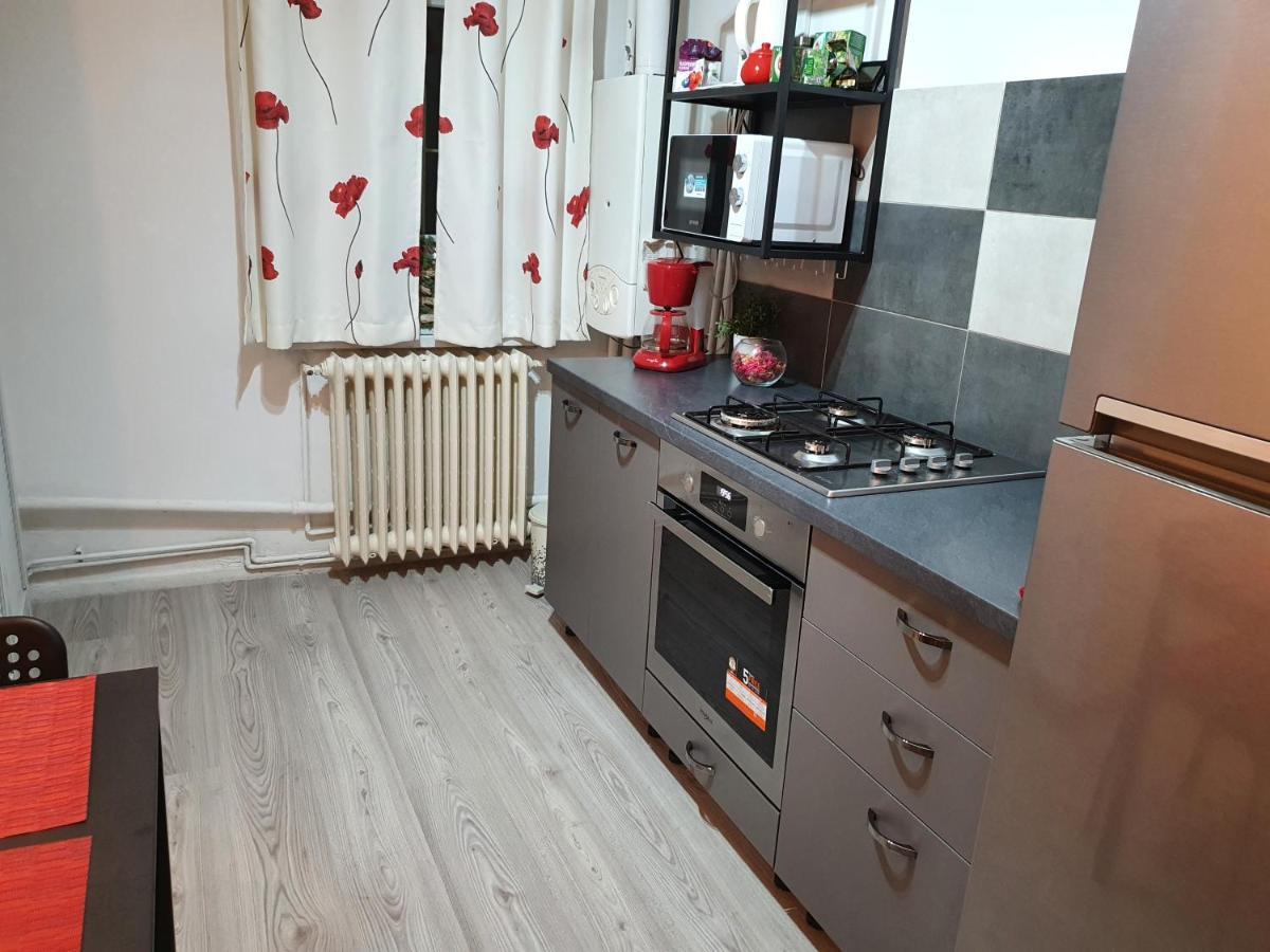 Mia Central Apart, 3 Rooms, 2 Baths, Afi Mall Braşov Eksteriør billede
